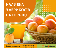 Рецепт наливки из абрикосов на водке