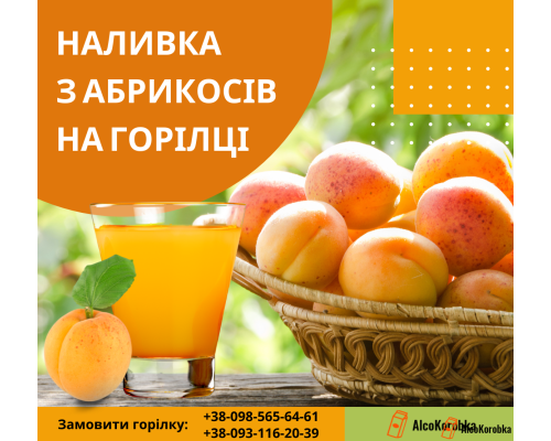 Рецепт наливки из абрикосов на водке